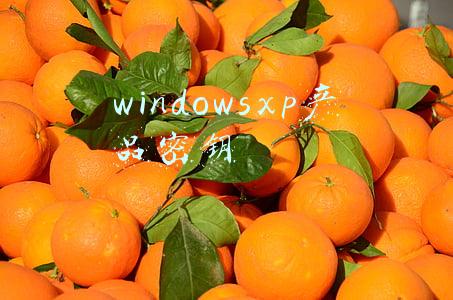 windowsxp产品密钥在哪里找(迈向 64 位时代，Visual Studio 2022 要来啦)