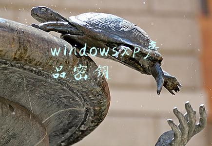 windowsxp产品密钥免费(2021年了，旧系统还可以免费升级至Windows 10)