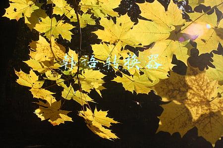 韩语转换器