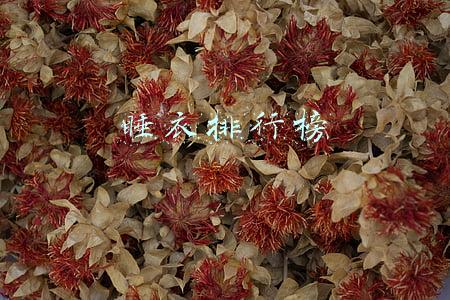 珊瑚绒睡衣排行榜(在南方最火的丑睡衣，北方人看了直呼好家伙)