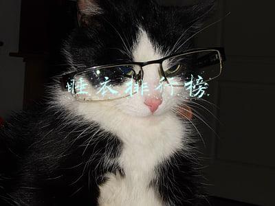 睡衣排行榜前十名品牌(10款值得入手的进口睡衣排行榜)