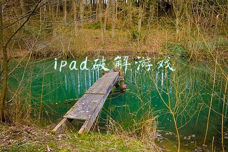 ipad破解游戏