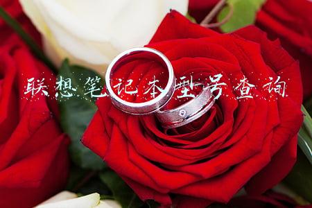 怎么看联想笔记本的型号(如何查询电脑牌子 怎么知道自己的电脑是什么牌子)