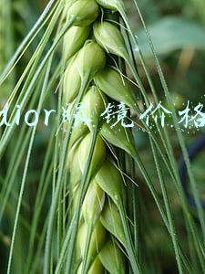 dior眼镜价格表男士(迪奥·桀傲 发布2015春夏Composit 1.0男士系列太阳镜)