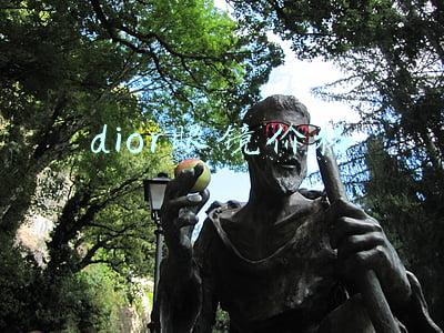 dior眼镜价格表女士(“Dior Lady”军团在纳入一员“猛将”！超模Diana Moldovan演绎迪奥(Dior)眼镜广告大片，优雅气质无人能挡)