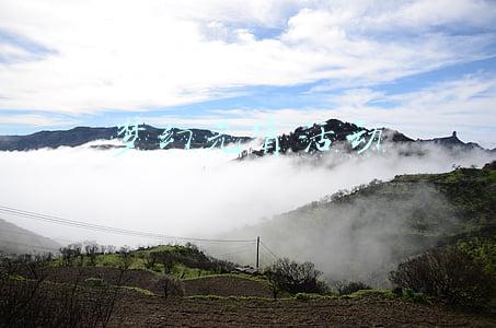 梦幻元宵活动几号结束(梦幻西游：元宵节兑换攻略！攻元宵和黑科技体力元宵是最好选择)