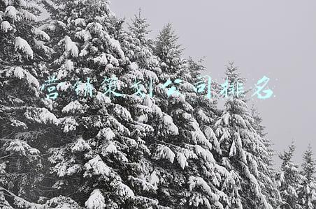 营销策划公司排名