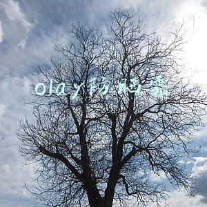 olay防晒霜