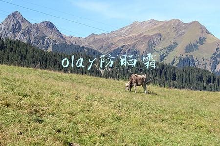 olay防晒霜