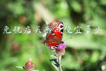 海南免税店价格便宜吗-海南免税店东西便宜吗