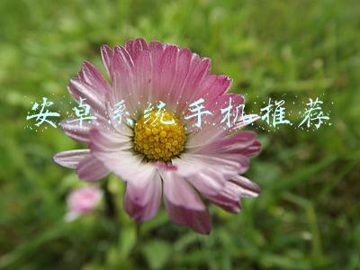 安卓系统手机推荐