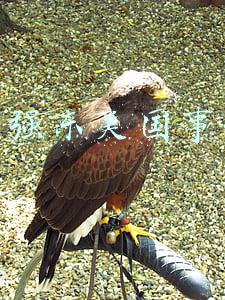 刘强东美国事件女方图片(警方披露刘强东案细节：男方称证实无辜，女方回应“鬼扯的鸳鸯浴”)