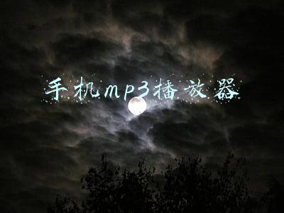 手机mp3播放器