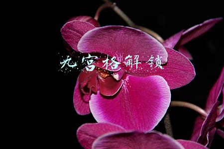 九宫格解锁图案简单(史上最难解的16个九宫格解锁图案，你都会了吗？)