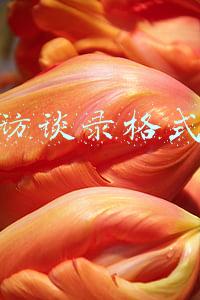 访谈录格式怎么写800字(天涯若比邻：这组“酷炫访谈”实现“空间穿越”)
