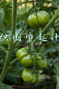 织围巾起针多少针合适(经典款百搭男式棋盘格围巾（有编织说明）)