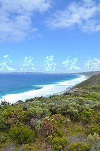 天然根雕拐杖图片大全(5年间自制500多件根雕拐杖 徐州古稀老人张玉春让枯木再“逢春”)