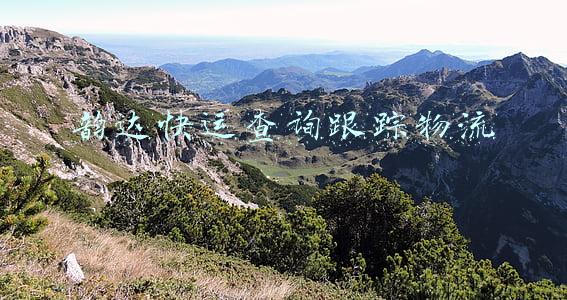 韵达快运查询跟踪物流