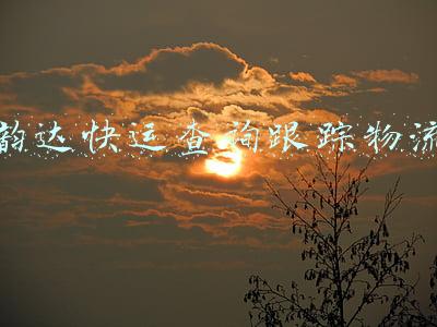 韵达快运查询跟踪物流