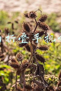 华为折叠手机价格