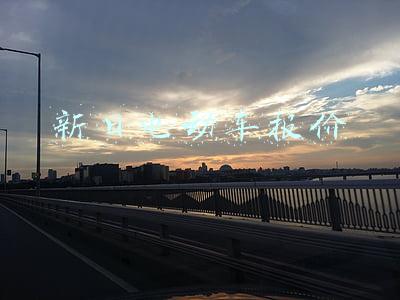 新日电动车(刚买数月新日电动车频繁断电故障，换了控制器后还要换电机)