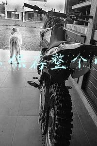 怎么保存整个网页截图(书生妙招：如何利用浏览器截图功能将整个网页保存为图片)