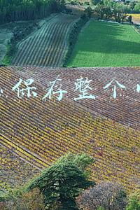 怎么保存整个网页图片(怎么把整个网页的图片保存下来)