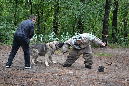 qq无法登陆怎么联系客服(我的QQ解冻之旅)