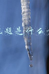客观题是什么意思