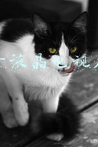 55寸液晶电视尺寸