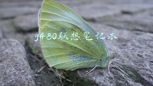 g480联想笔记本拆键盘(这电脑拆的我实在忍不住笑了！)