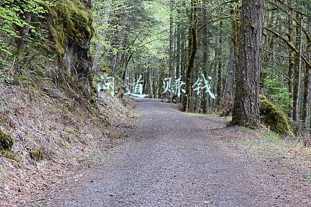 问道 赚钱 问道 赚钱