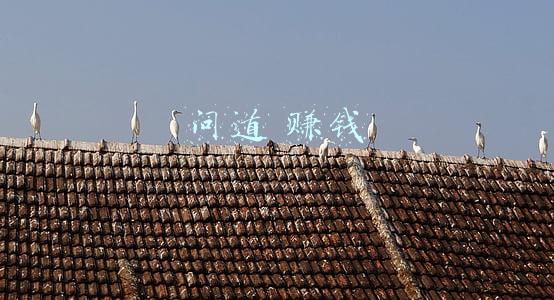 问道赚钱还是梦幻西游赚钱(问道经典服：能自由交易赚rmb的网游，游戏工作室冷门项目)