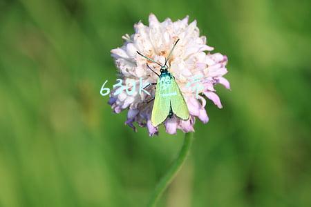 630k色带 630k色带