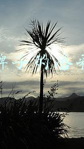什么牌子的唇彩好用