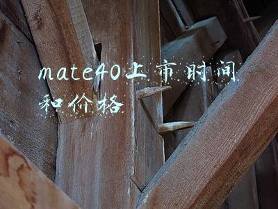 华为mate40上市时间和价格(爆料！华为Mate40/P50下月有新机 Mate50最快6月发布)