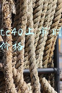 mate40上市时间(华为Mate40深度评测：绝对不能错过的旗舰神机)