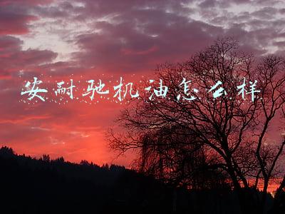 安耐驰机油怎么样