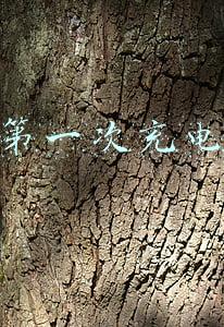 新iphone手机第一次充电时间(你的手机还要等到20%以下电量再充吗，内行人告诉你，很伤电池)