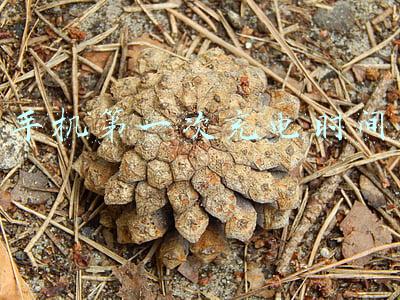 手机第一次充电时间