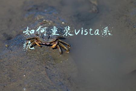 怎么重装系统windows7(u盘重装系统win7步骤和详细教程)