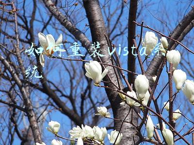 如何重装vista系统