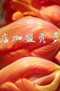 绝味鸭脖加盟费官网(绝味鸭脖加盟费)