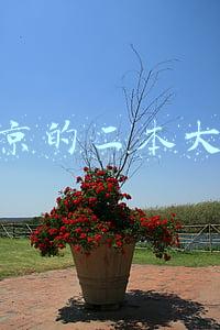 南京的二本大学