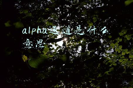 alpha通道是什么意思啊(还分不清JPG、PNG、BMP等这些常用的图片格式吗？今天就来告诉你)