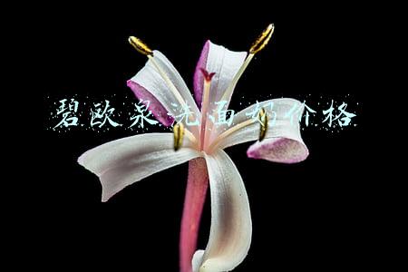 碧欧泉洗面奶价格
