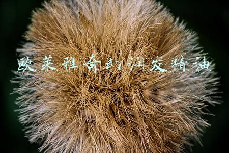 欧莱雅奇焕润发精油价格(屈臣氏真正值得买的东西，别再被导购忽悠了！)