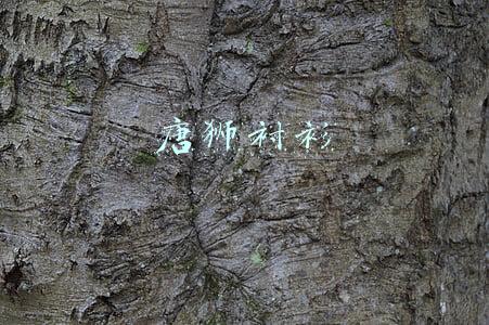 唐狮官方旗舰店(这个“双十一”宁波人又“赚”了！花了35.8亿，却“赚”回来这个数)