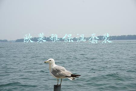 欧莱雅保湿套装