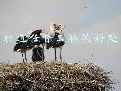 打通任督二脉的好处